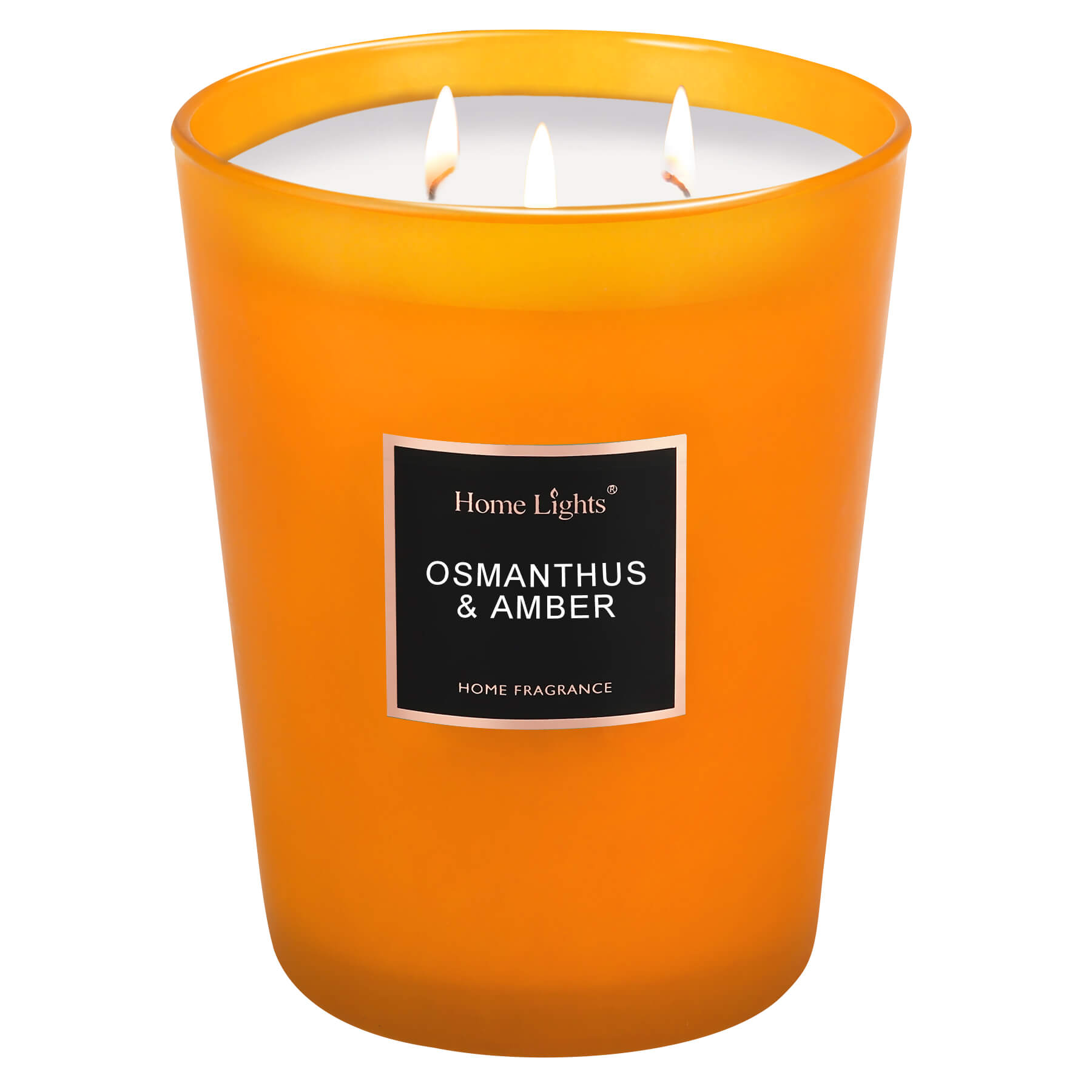 Picture of Osmanthus & Amber Large Jar Candle | SELECTION SERIES 1316 Model